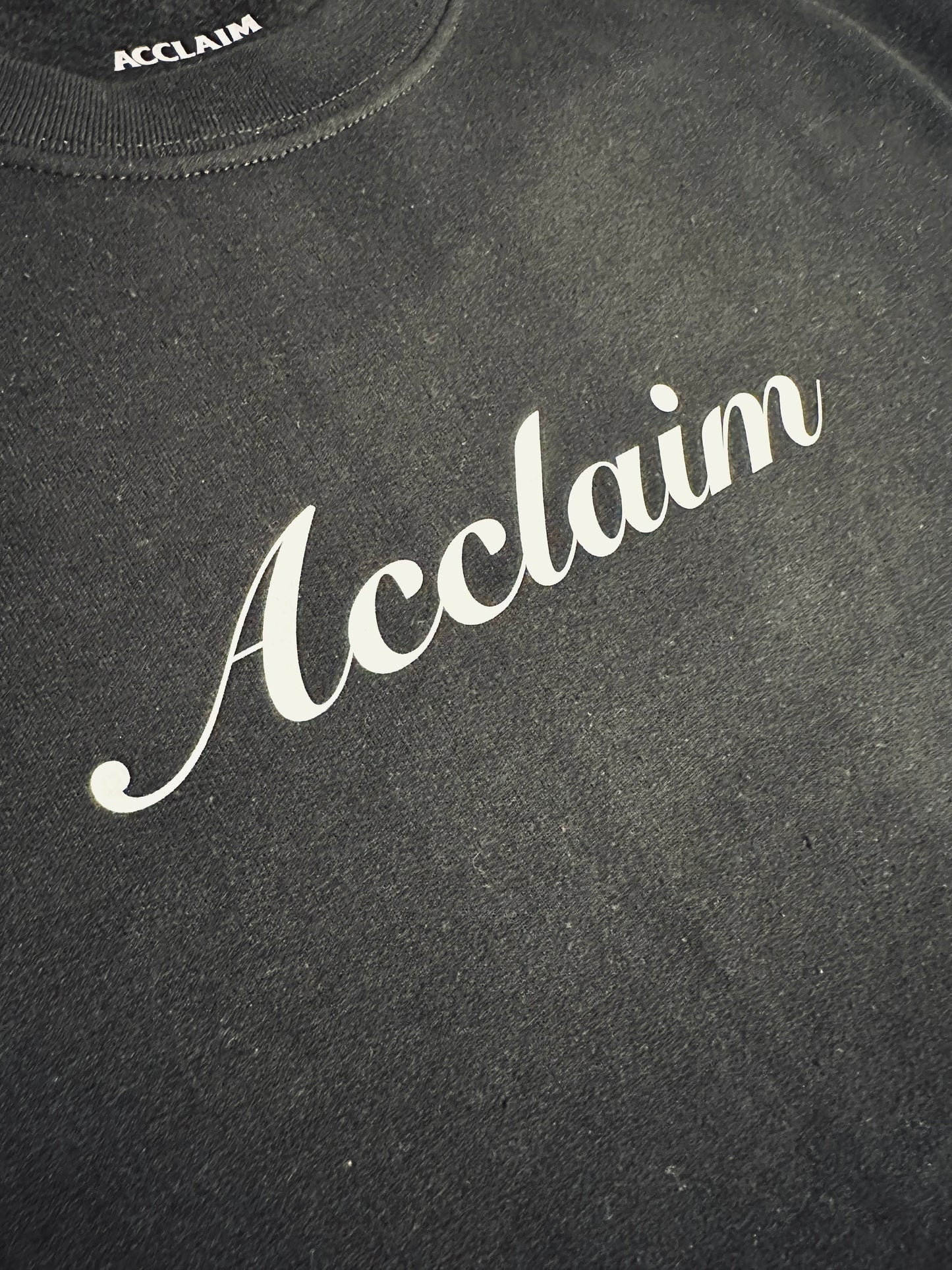 ACCLAIM Script Crewneck Sweatshirt